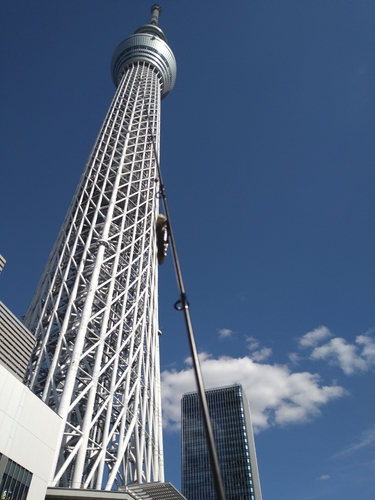 ハゼの釣果