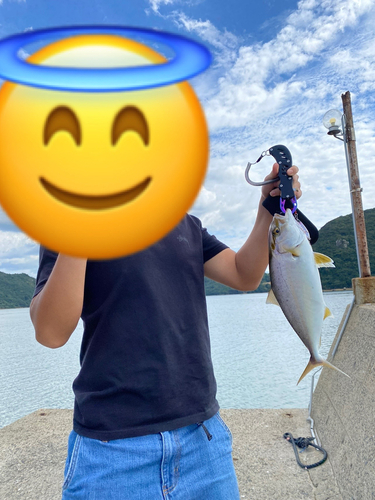 カンパチの釣果