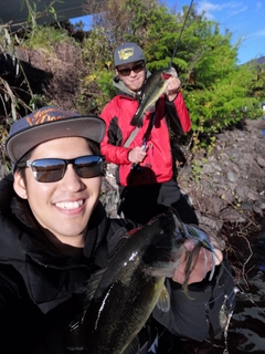 ブラックバスの釣果