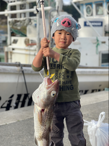 マダラの釣果