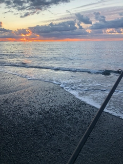 ショゴの釣果