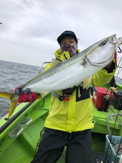 イナダの釣果