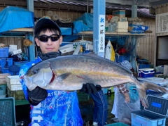 カンパチの釣果