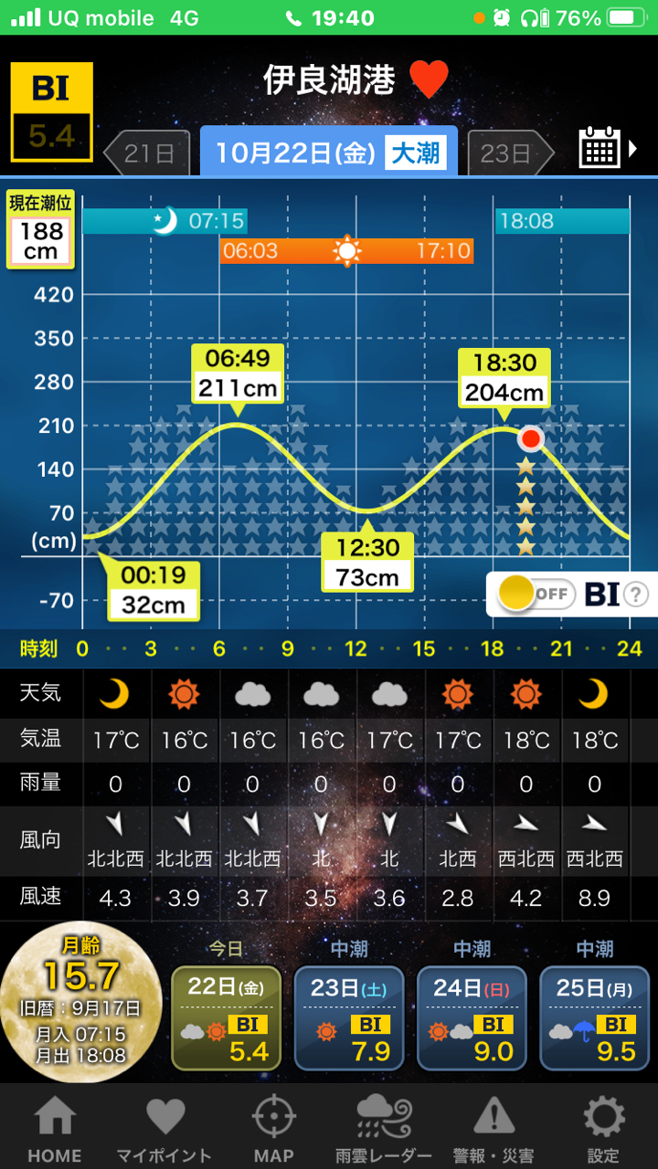 アオリイカ