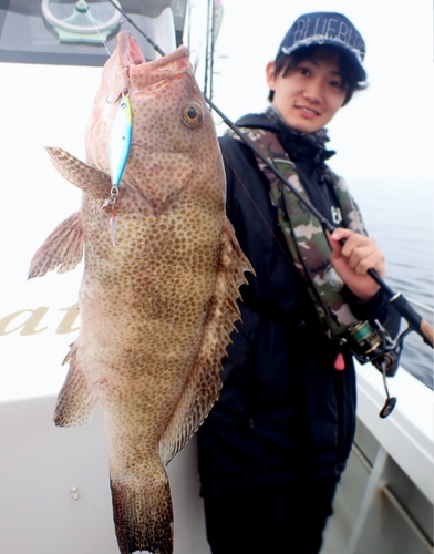 オオモンハタの釣果