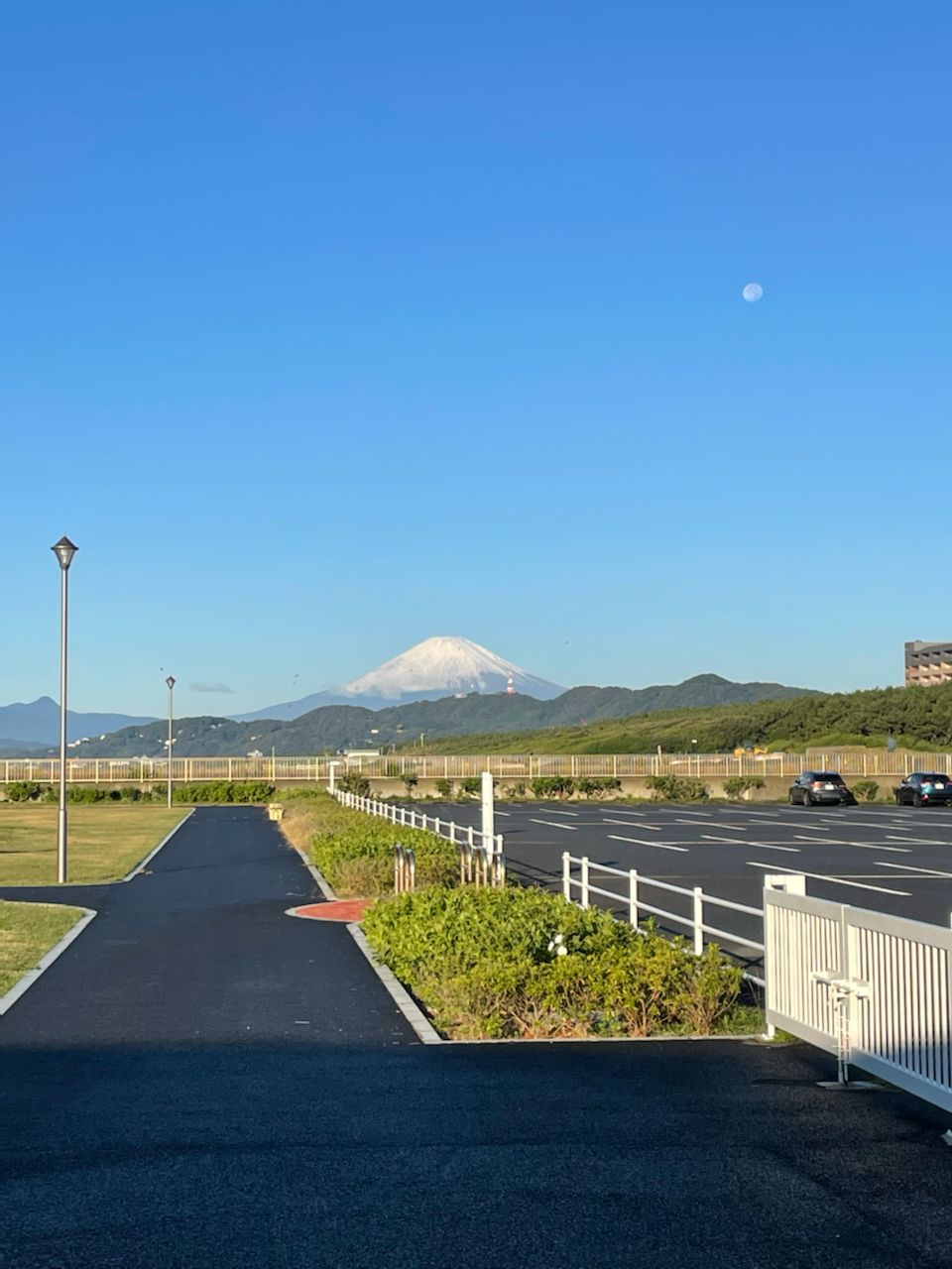カマス