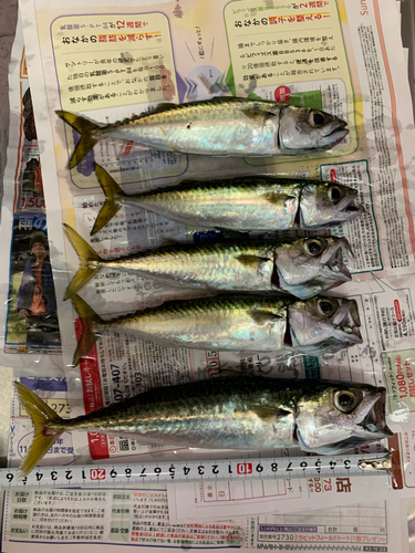 釣果