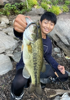 ブラックバスの釣果