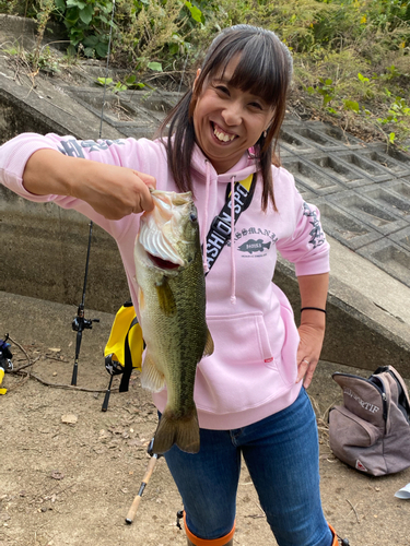 ブラックバスの釣果