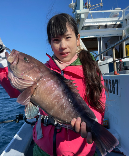 マハタの釣果