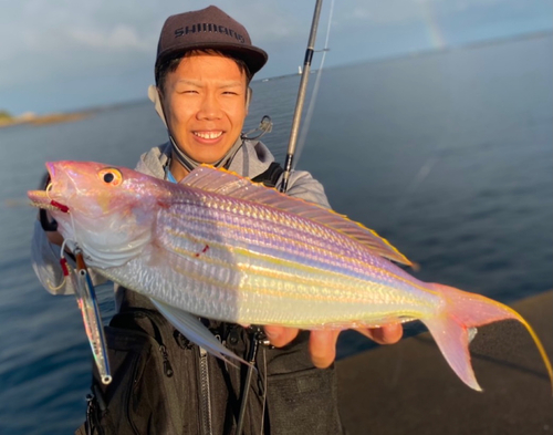 イトヨリダイの釣果