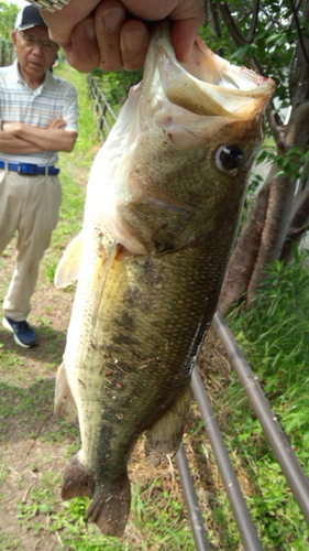 釣果