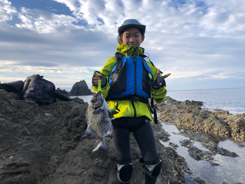 イシガキダイの釣果