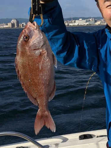 タイの釣果