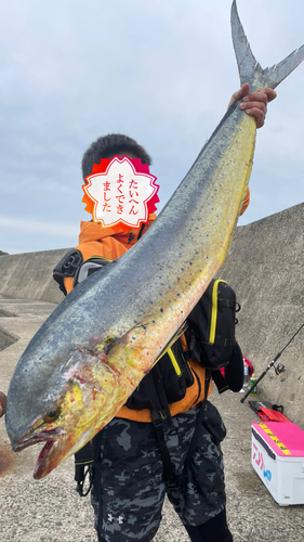 シイラの釣果