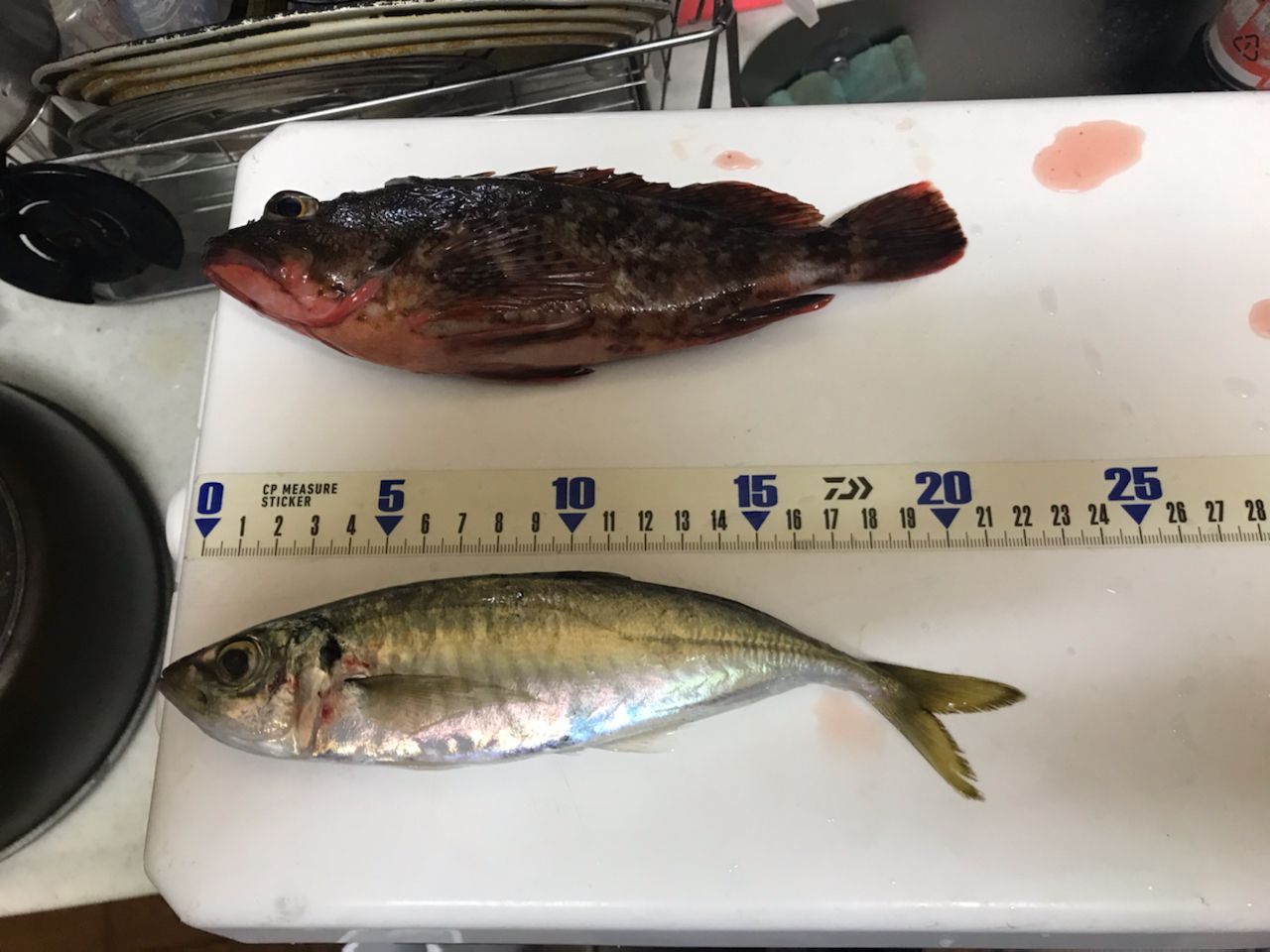 アジ
