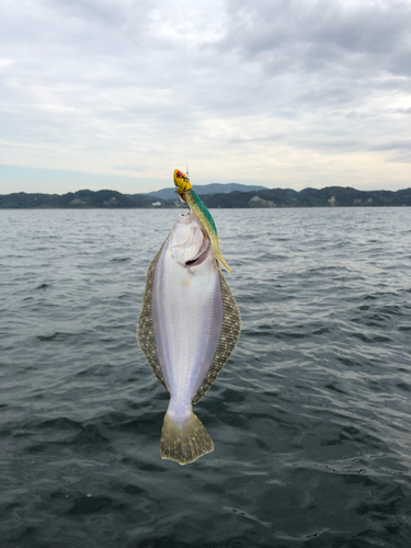 ソゲの釣果