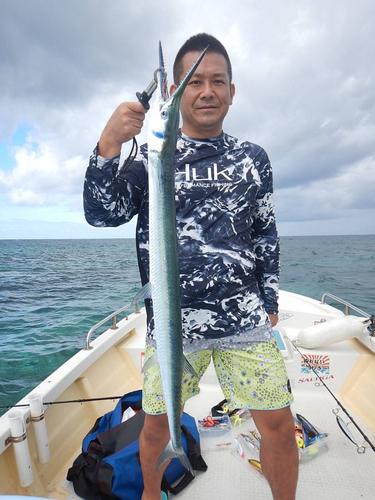 オキザヨリの釣果