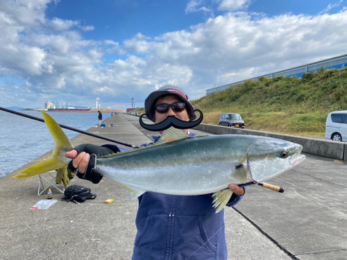 ハマチの釣果