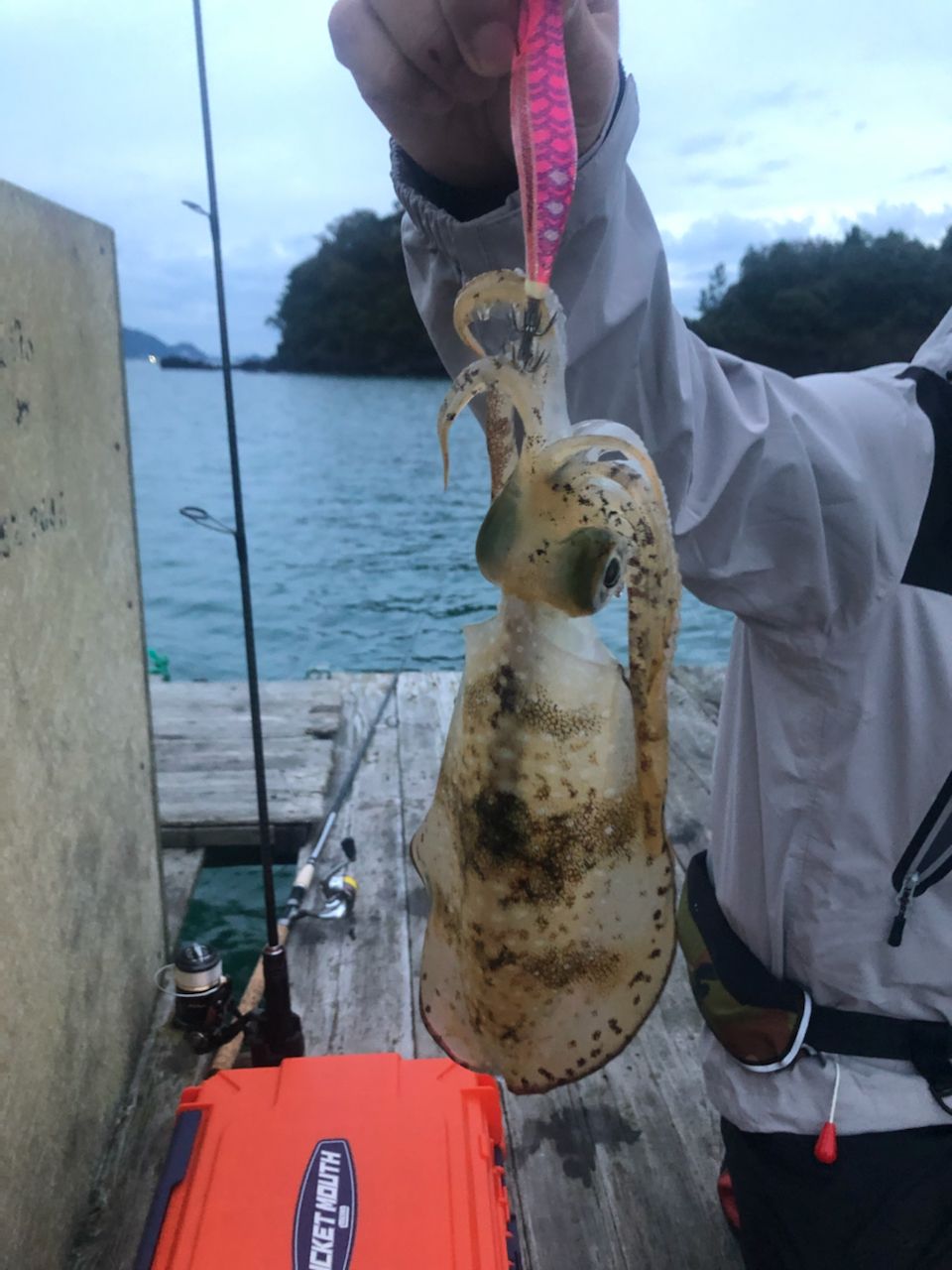 ふーやんさんの釣果 1枚目の画像