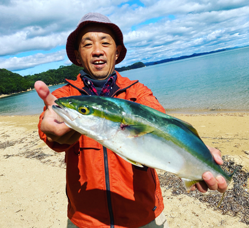 ハマチの釣果