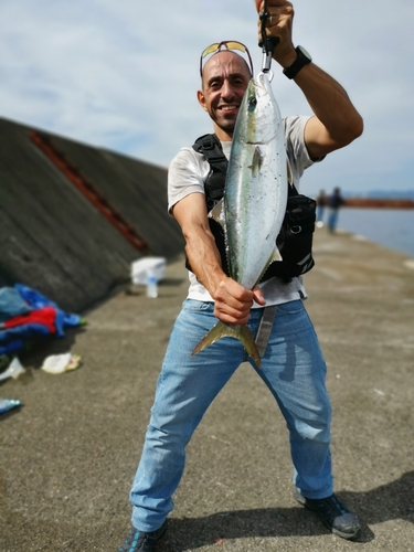 メジロの釣果