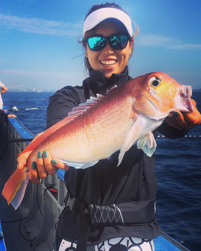 アマダイの釣果