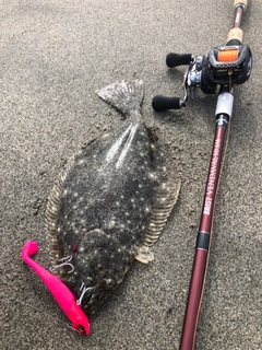 ソゲの釣果