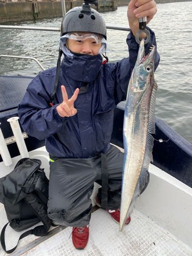 タチウオの釣果