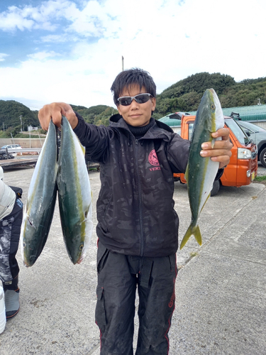 イナダの釣果