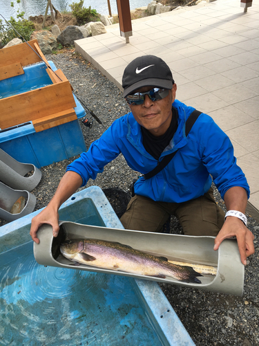 ロックトラウトの釣果