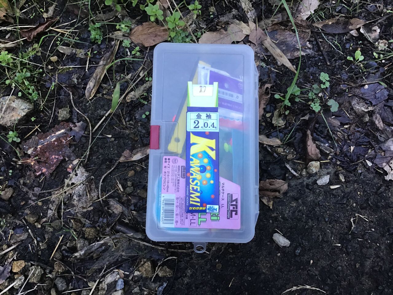 アブラハヤ