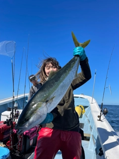 ブリの釣果