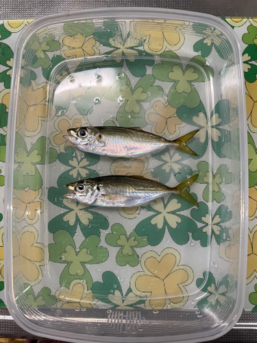 釣果