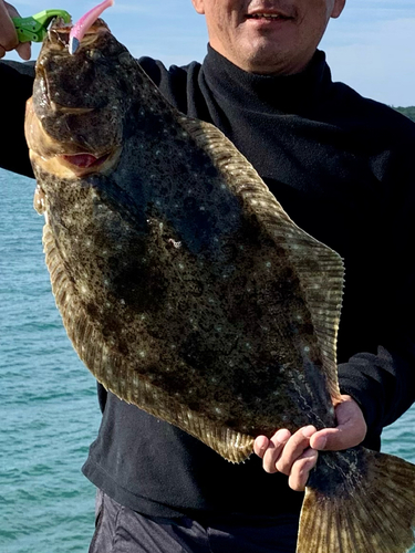 ヒラメの釣果