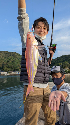 イトヨリダイの釣果