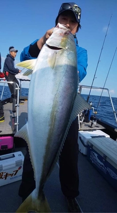 ブリの釣果