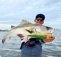 スズキの釣果