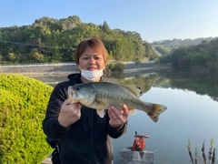 ブラックバスの釣果