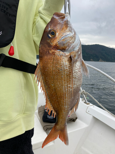 タイの釣果