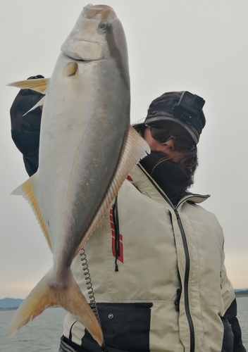 ショゴの釣果