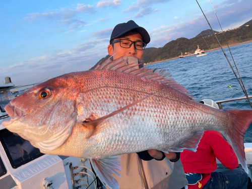 マダイの釣果