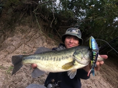 ラージマウスバスの釣果