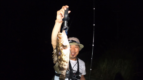 タケノコメバルの釣果