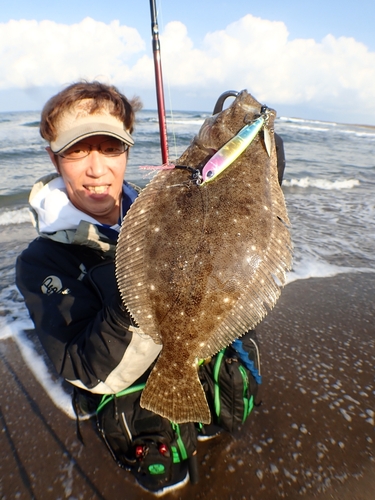 ヒラメの釣果