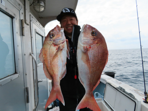 マダイの釣果