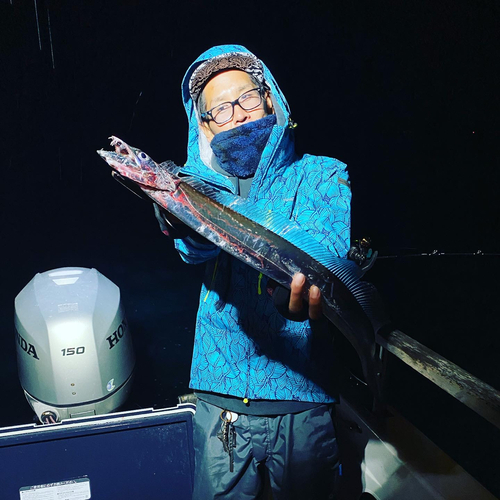 タチウオの釣果