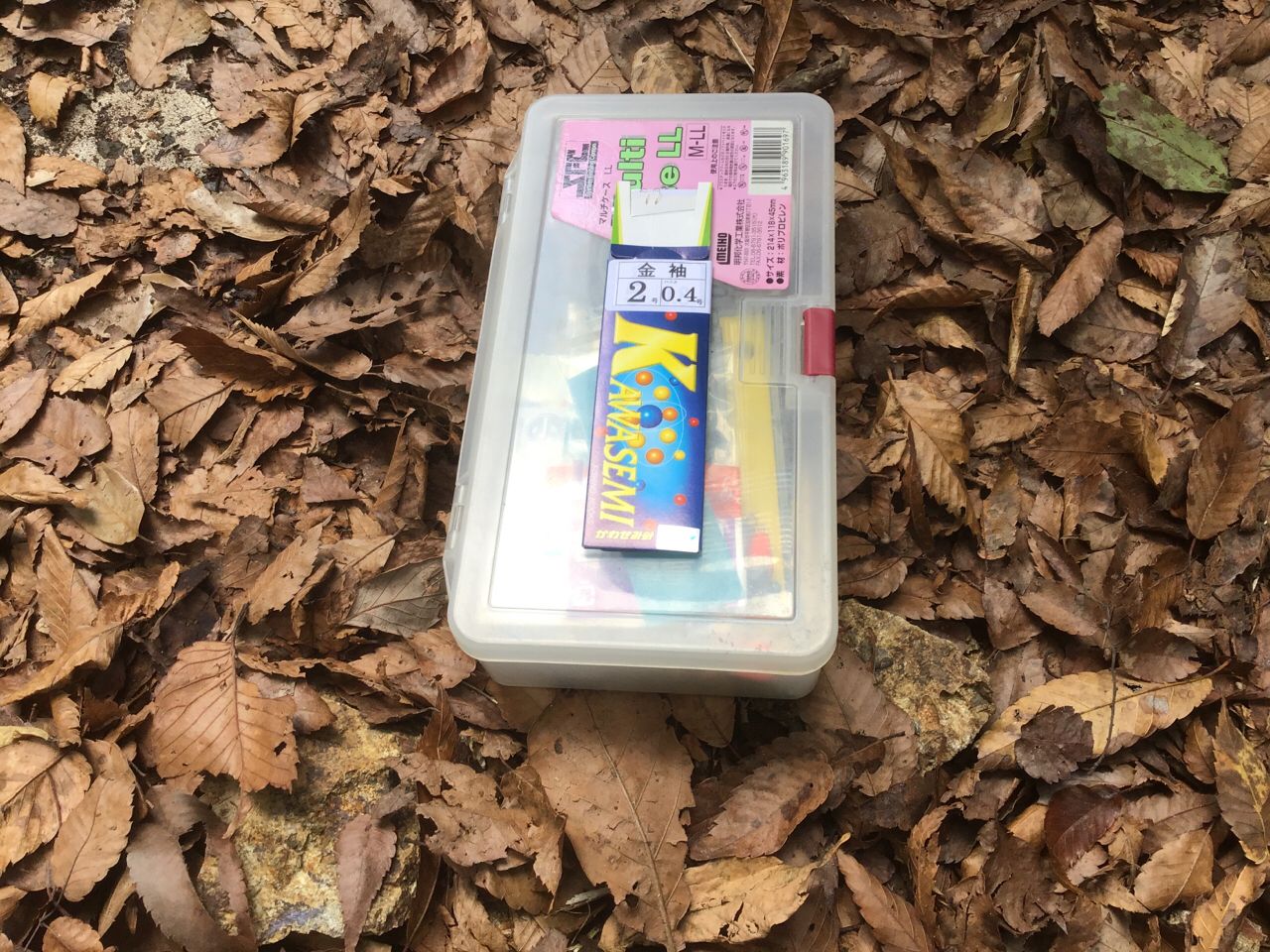 アブラハヤ