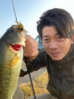 ブラックバスの釣果