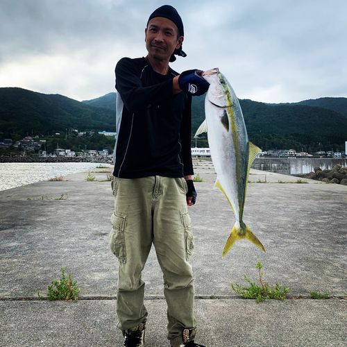 ワラサの釣果